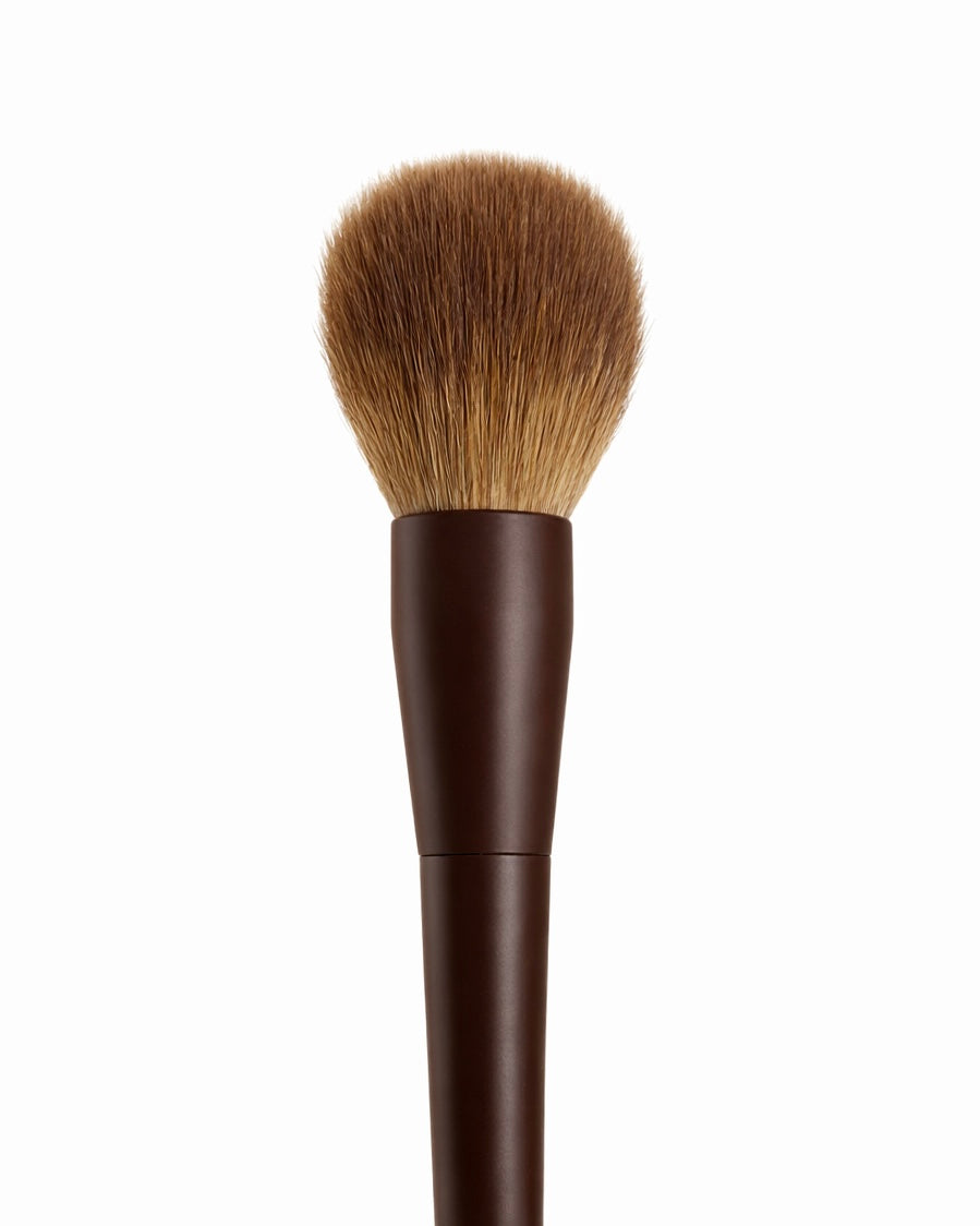 POWDER BRUSH DUST & DEFINE / DD 6