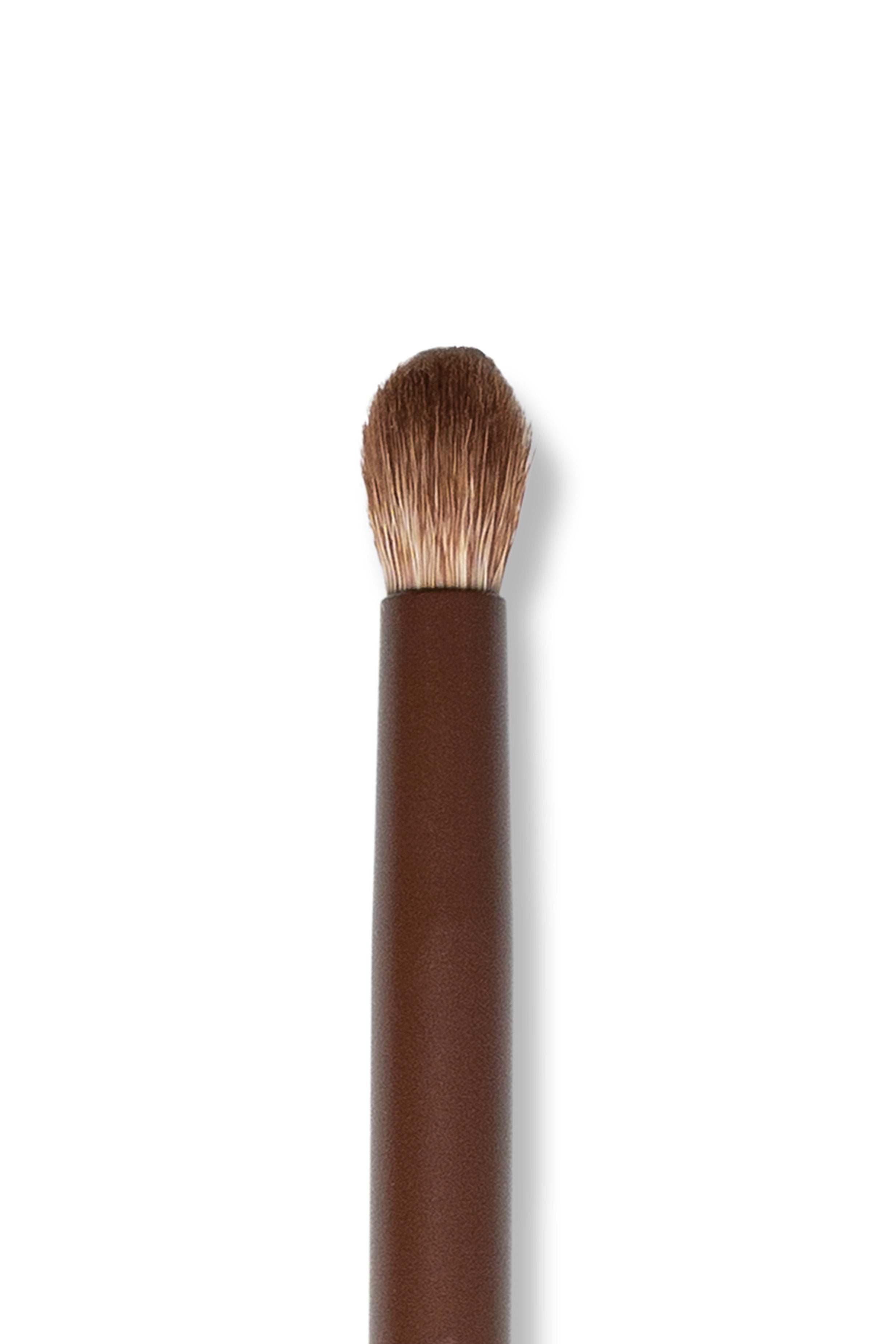 BROW CONCEALER & EYESHADOW CLEAR & TRACE CT 7